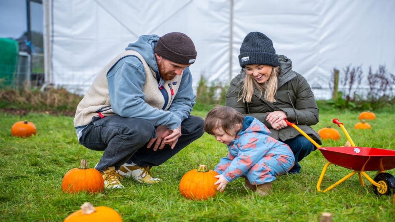 Mum and Dad in a grassy area surrounded by pumpkins on the ground. They are looking on at a Toddler holding a large pumpkin.